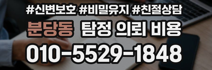 분당동 탐정 의뢰 비용