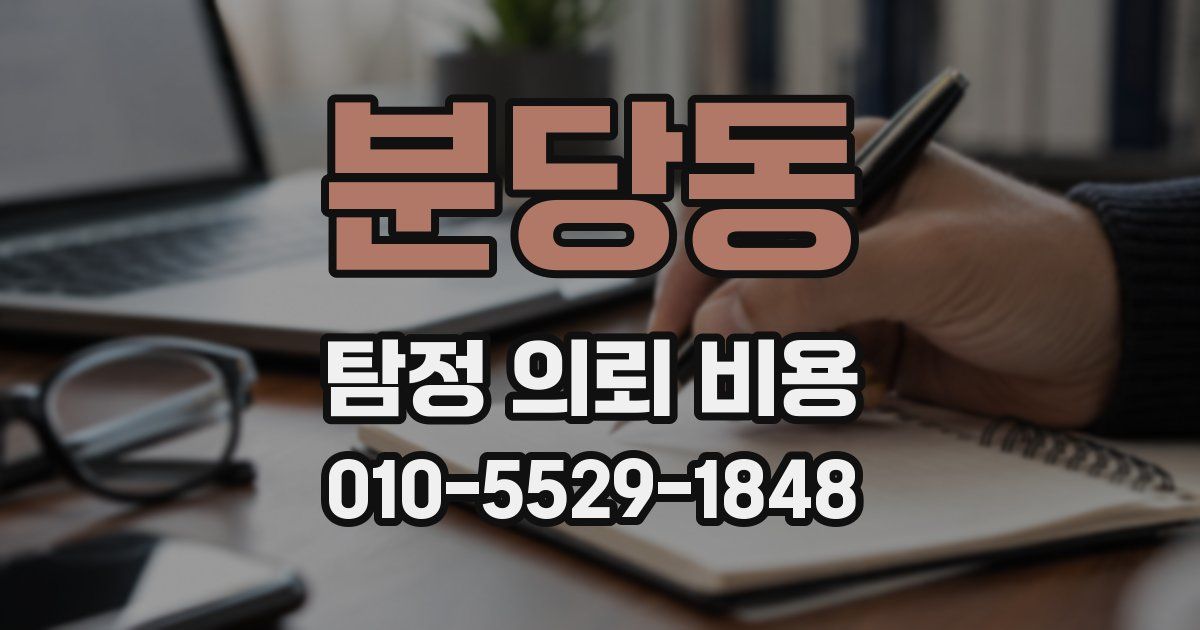 분당동 탐정 의뢰 비용