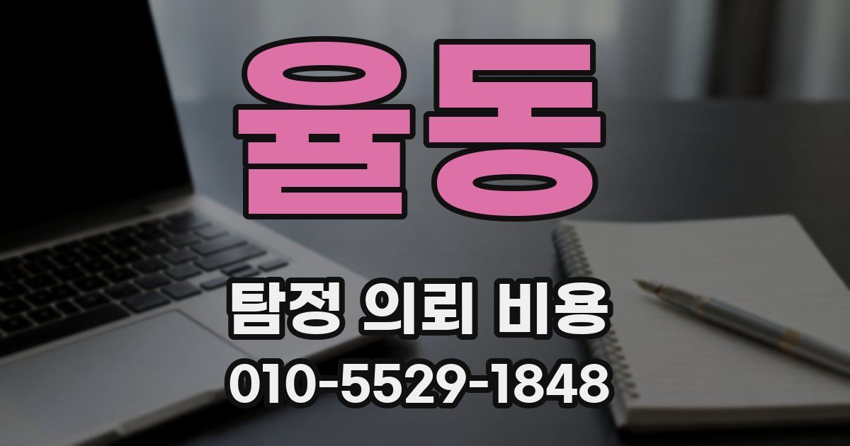 율동 탐정 의뢰 비용