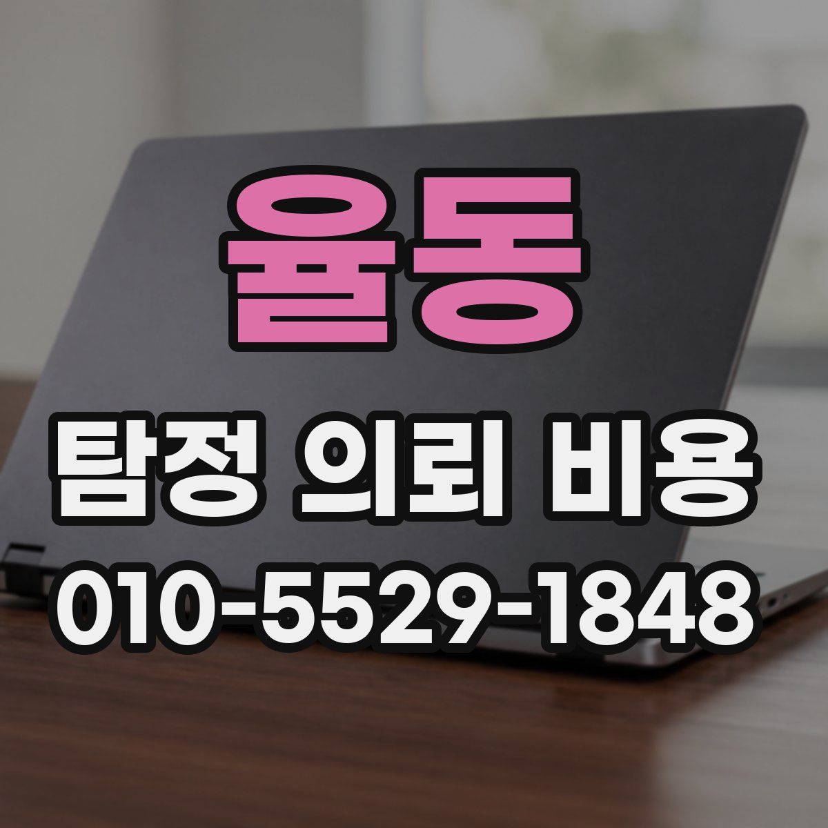 율동 탐정 의뢰 비용