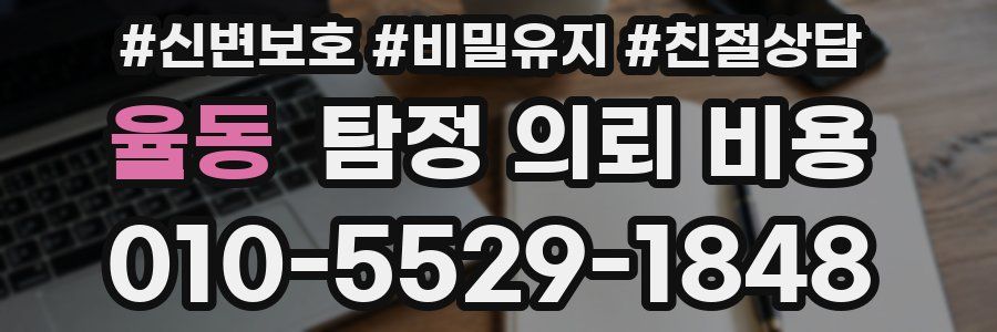 율동 탐정 의뢰 비용