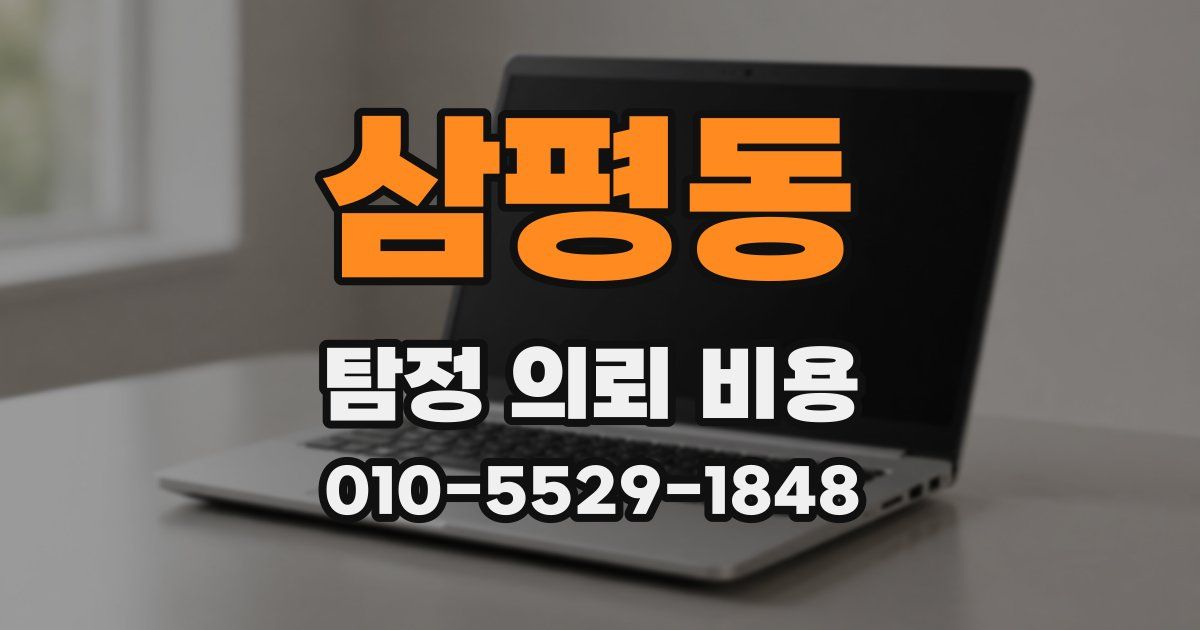 삼평동 탐정 의뢰 비용