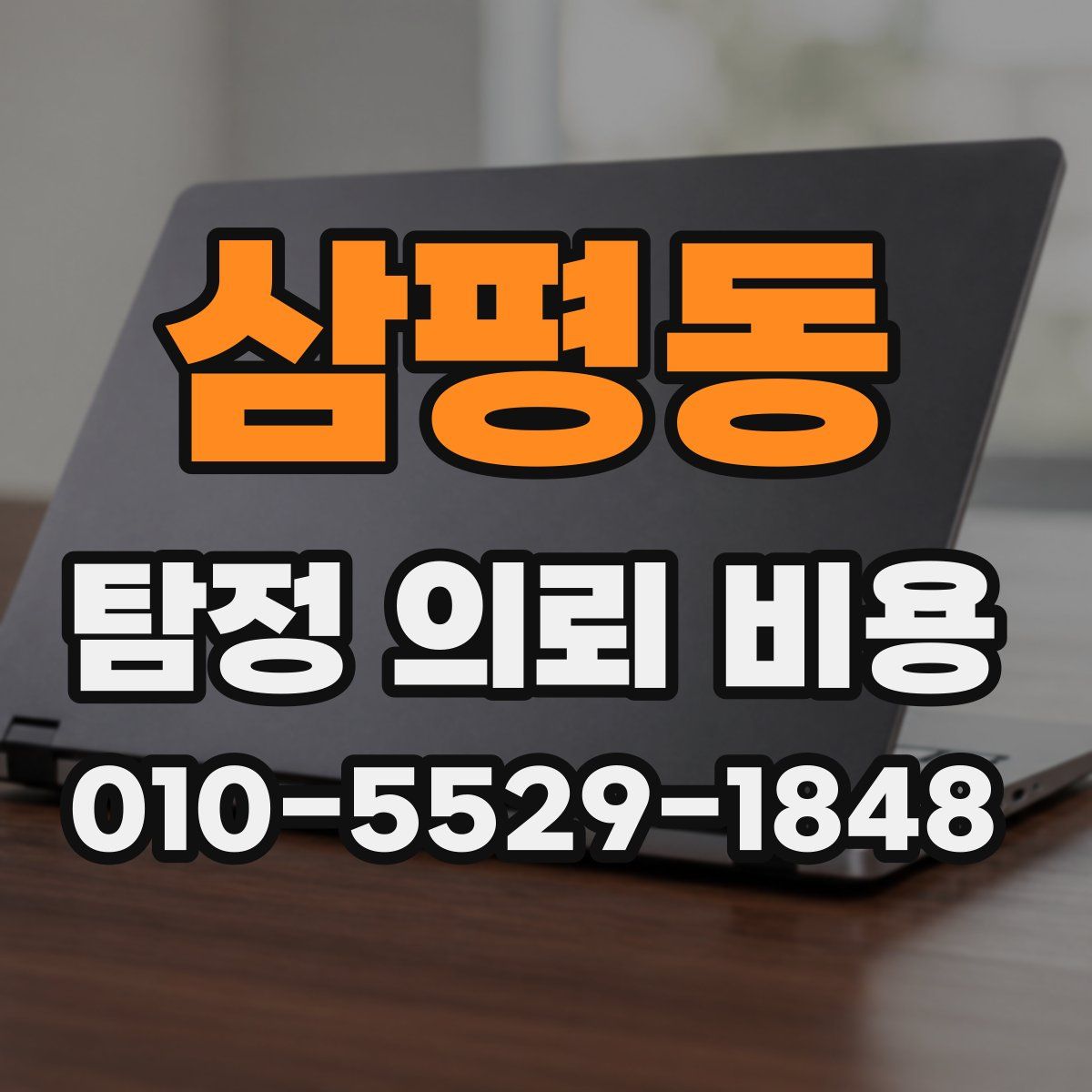 삼평동 탐정 의뢰 비용