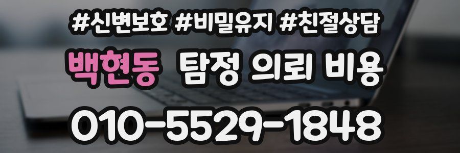 백현동 탐정 의뢰 비용