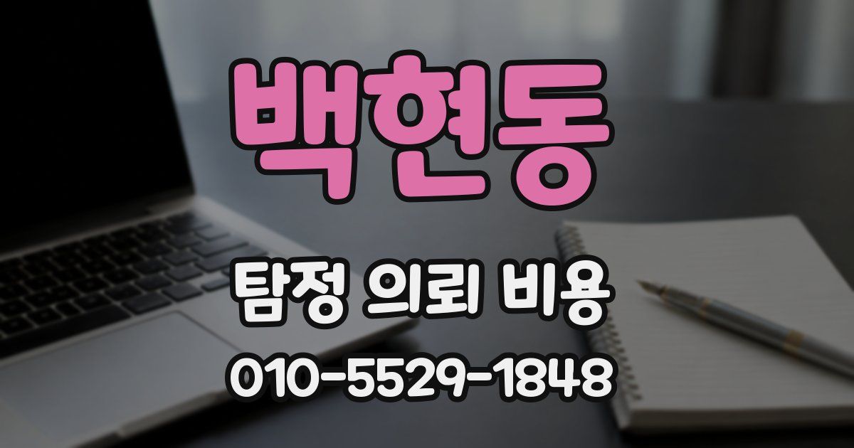 백현동 탐정 의뢰 비용