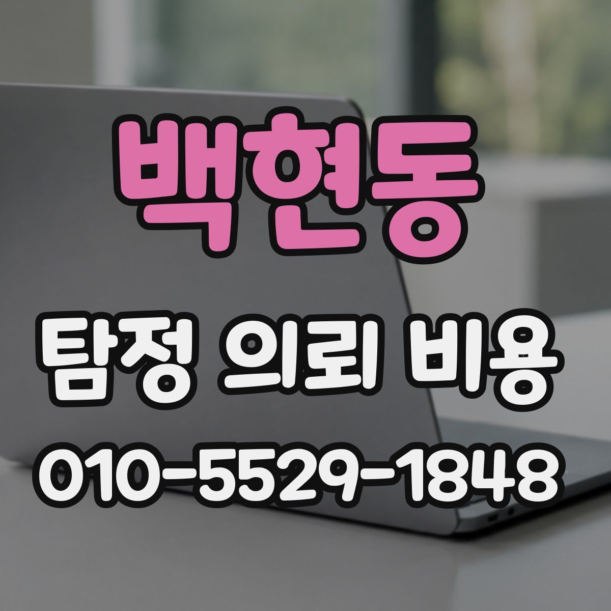 백현동 탐정 의뢰 비용