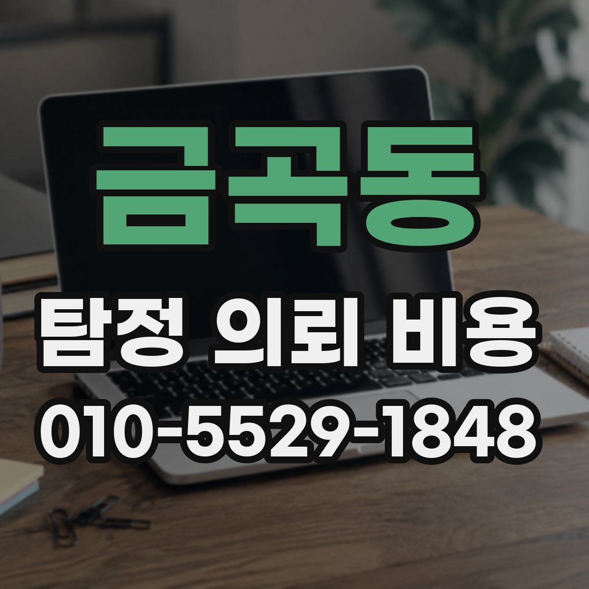금곡동 탐정 의뢰 비용