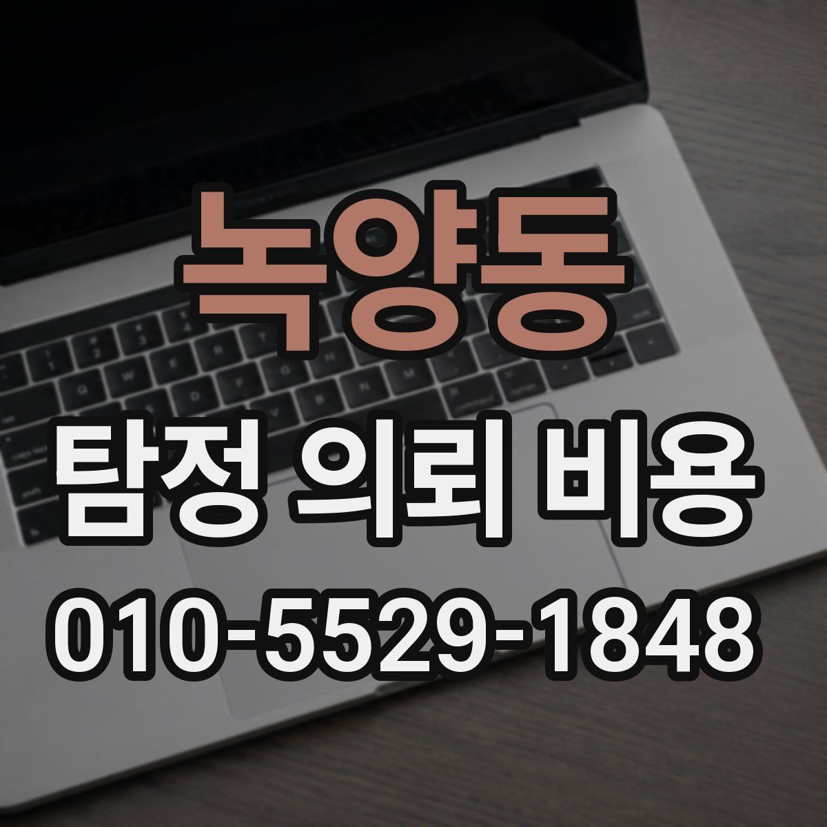 녹양동 탐정 의뢰 비용