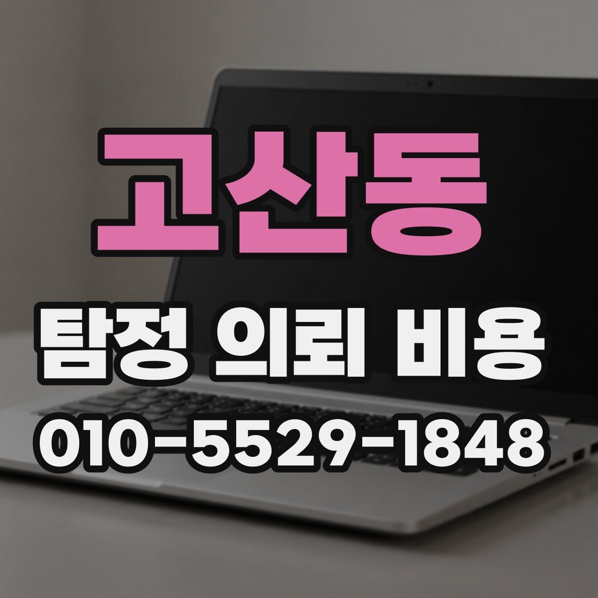 고산동 탐정 의뢰 비용