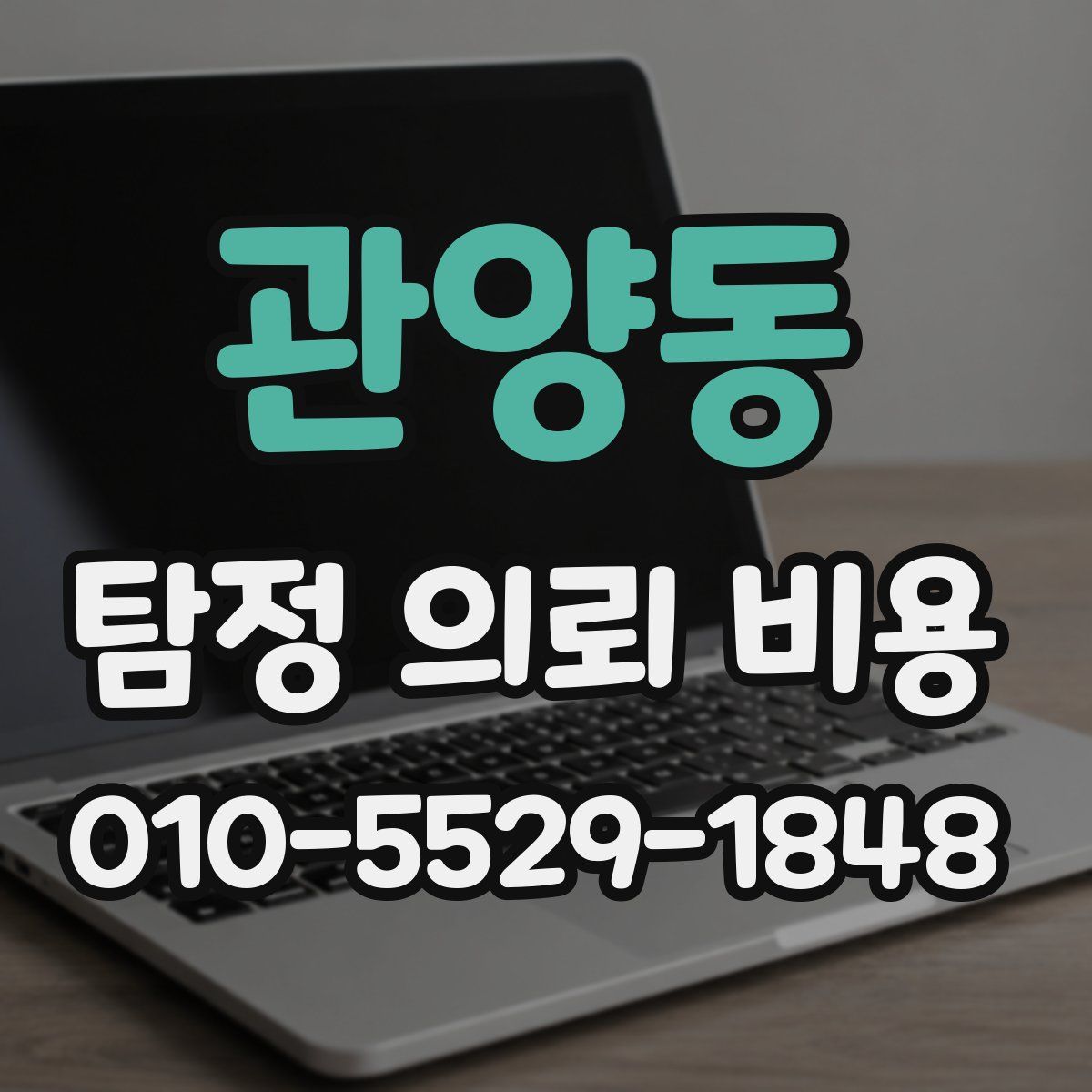 관양동 탐정 의뢰 비용