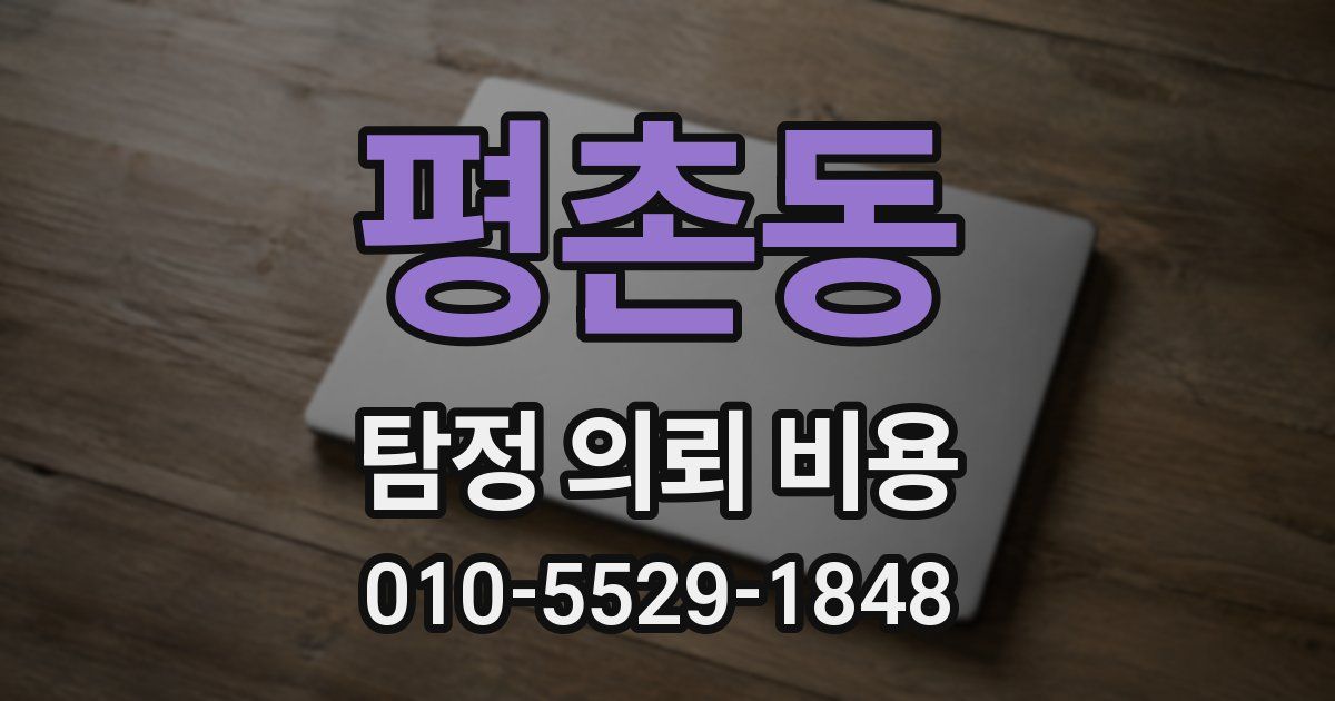 평촌동 탐정 의뢰 비용