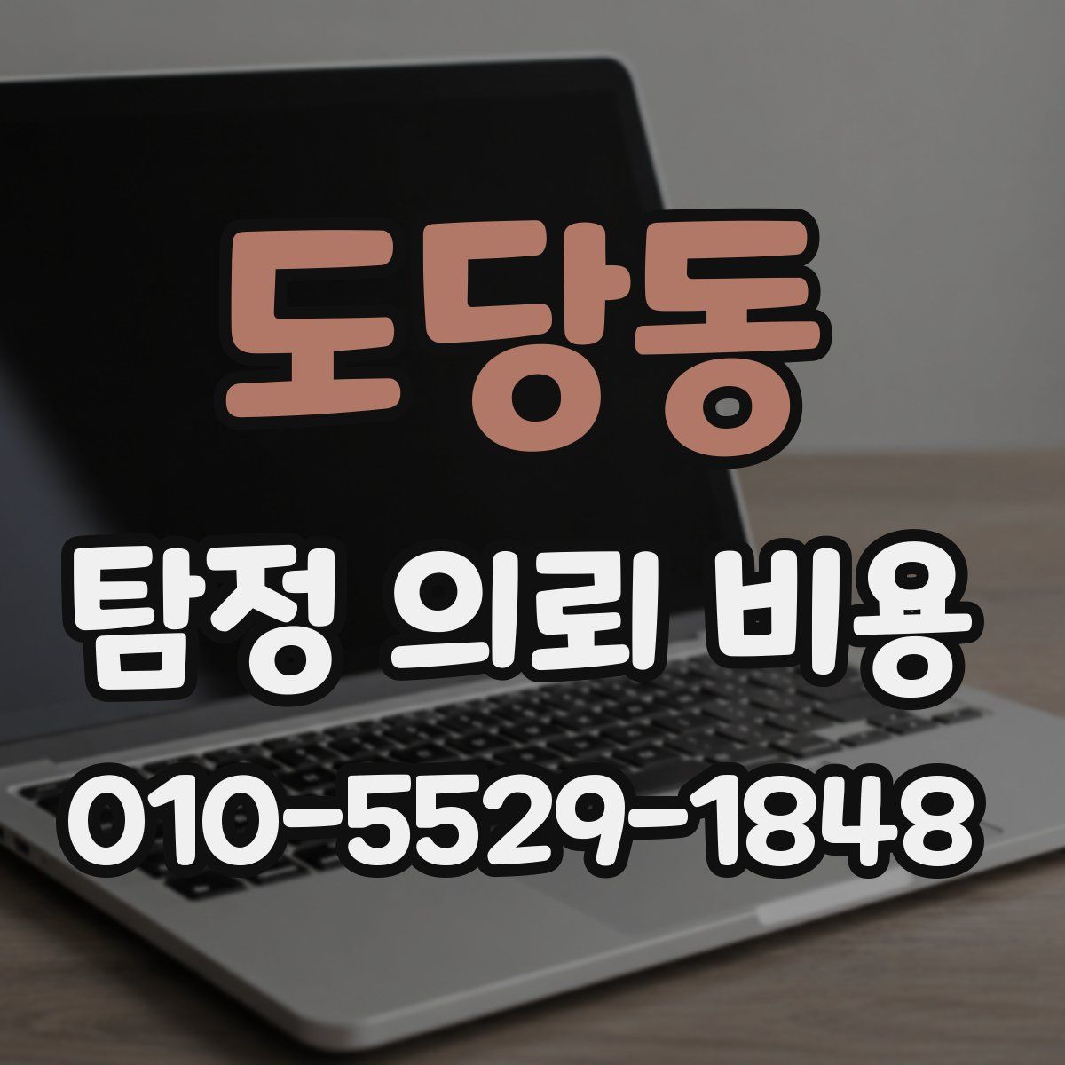 도당동 탐정 의뢰 비용