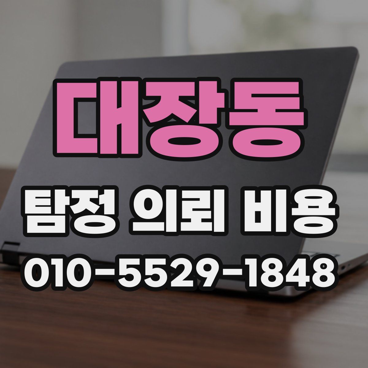 대장동 탐정 의뢰 비용