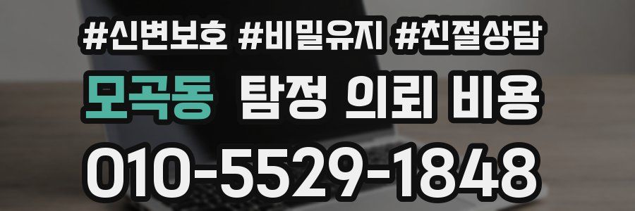 모곡동 탐정 의뢰 비용