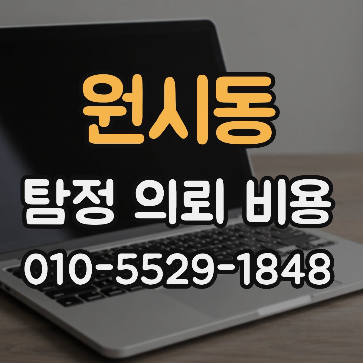 원시동 탐정 의뢰 비용