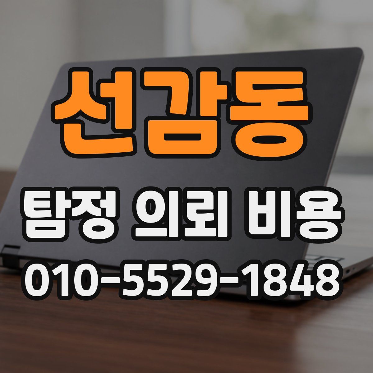 선감동 탐정 의뢰 비용