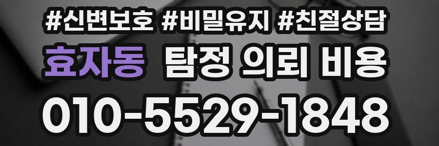 효자동 탐정 의뢰 비용