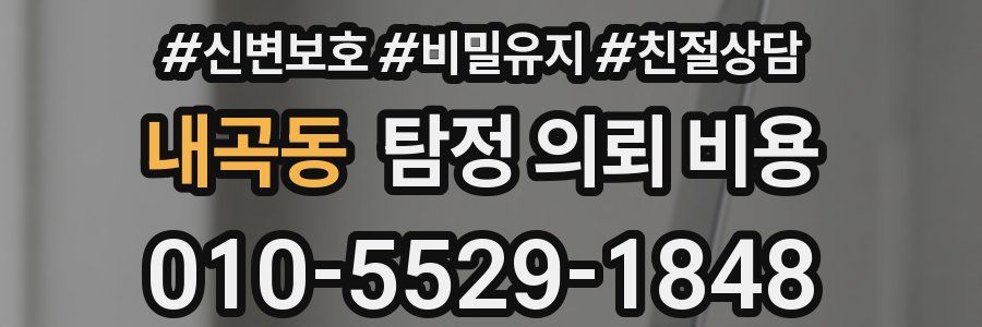 내곡동 탐정 의뢰 비용