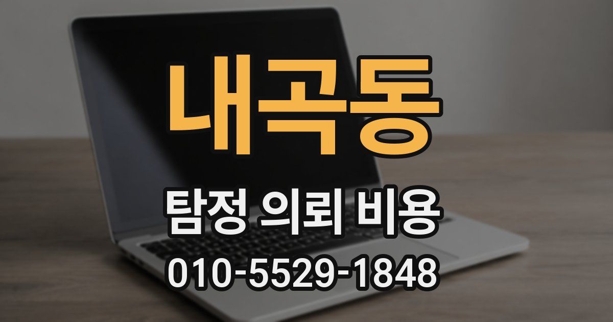 내곡동 탐정 의뢰 비용