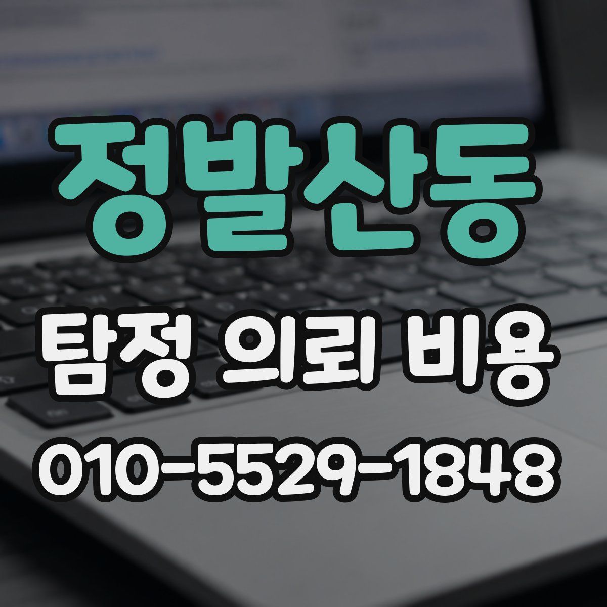 정발산동 탐정 의뢰 비용