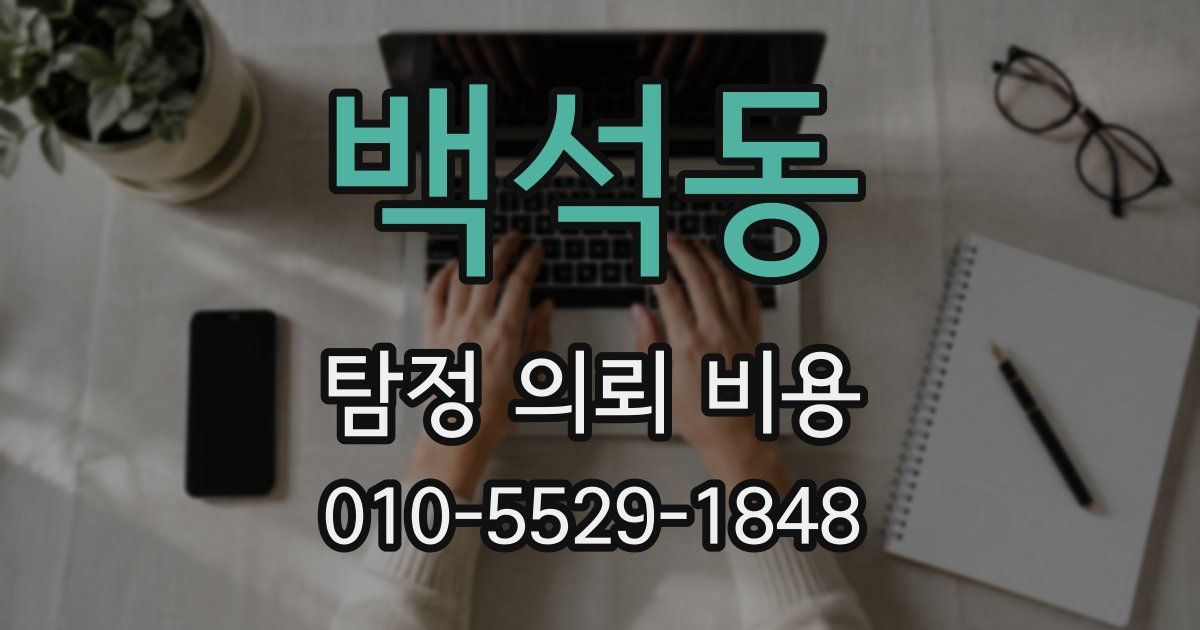 백석동 탐정 의뢰 비용