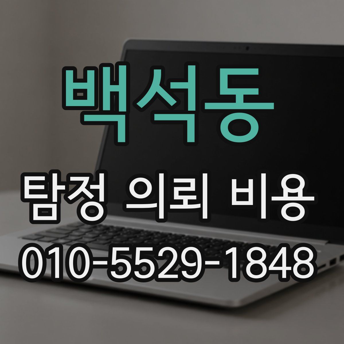 백석동 탐정 의뢰 비용