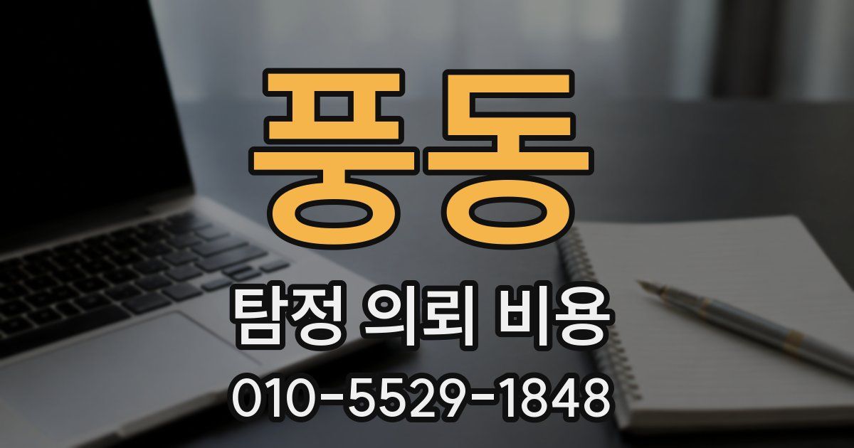 풍동 탐정 의뢰 비용