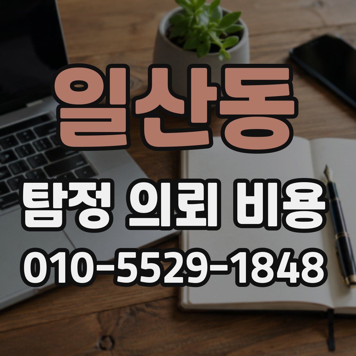 일산동 탐정 의뢰 비용