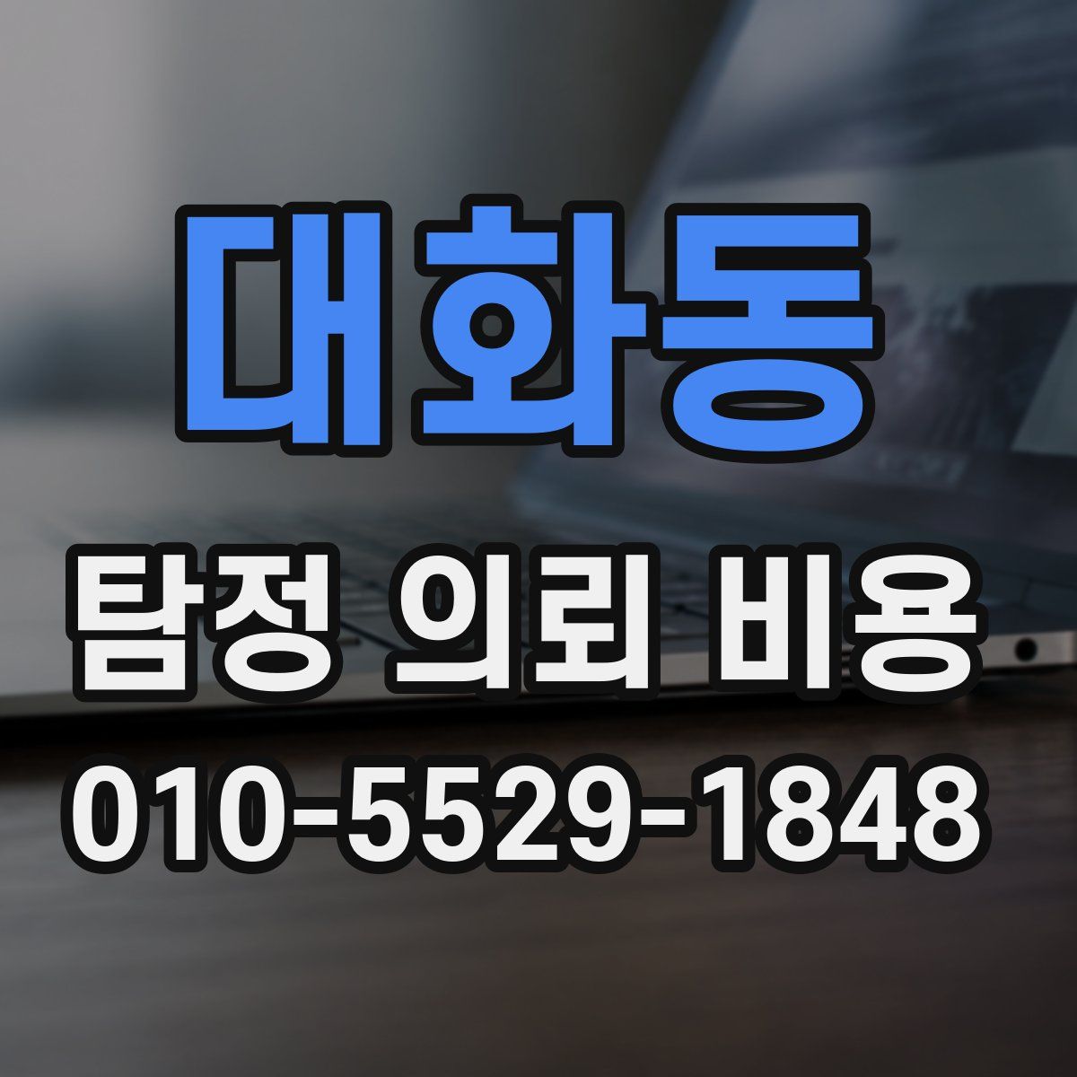 대화동 탐정 의뢰 비용