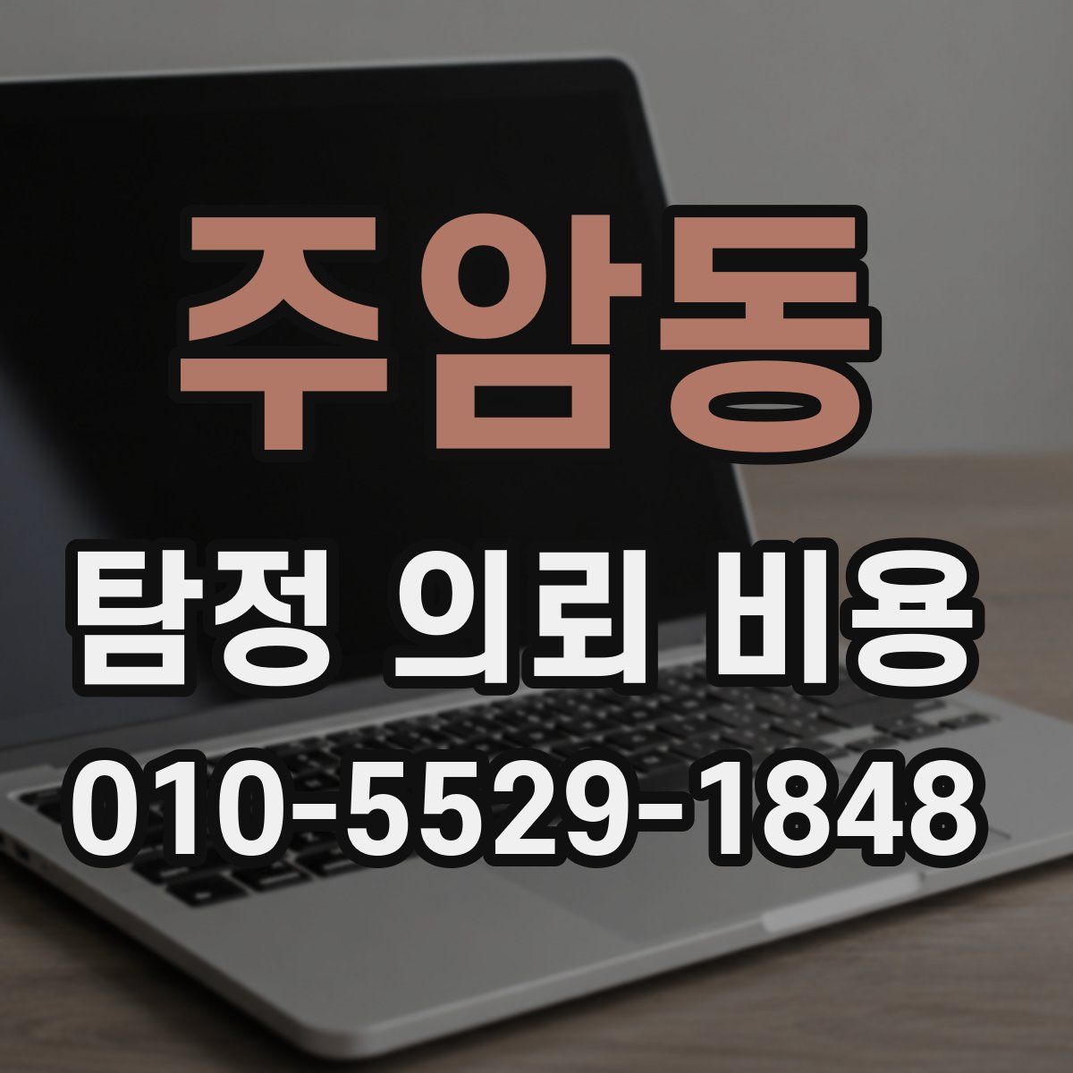 주암동 탐정 의뢰 비용