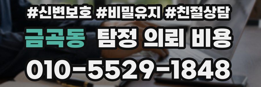 금곡동 탐정 의뢰 비용