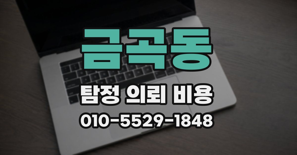 금곡동 탐정 의뢰 비용