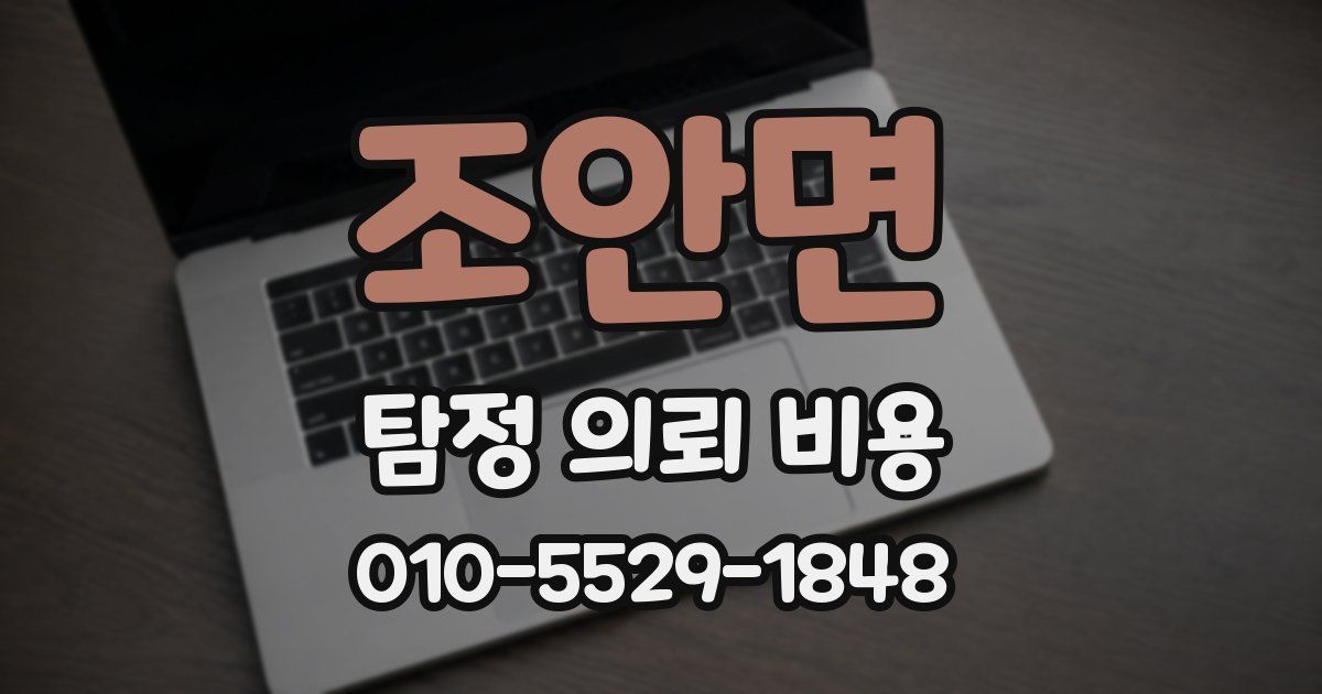 조안면 탐정 의뢰 비용
