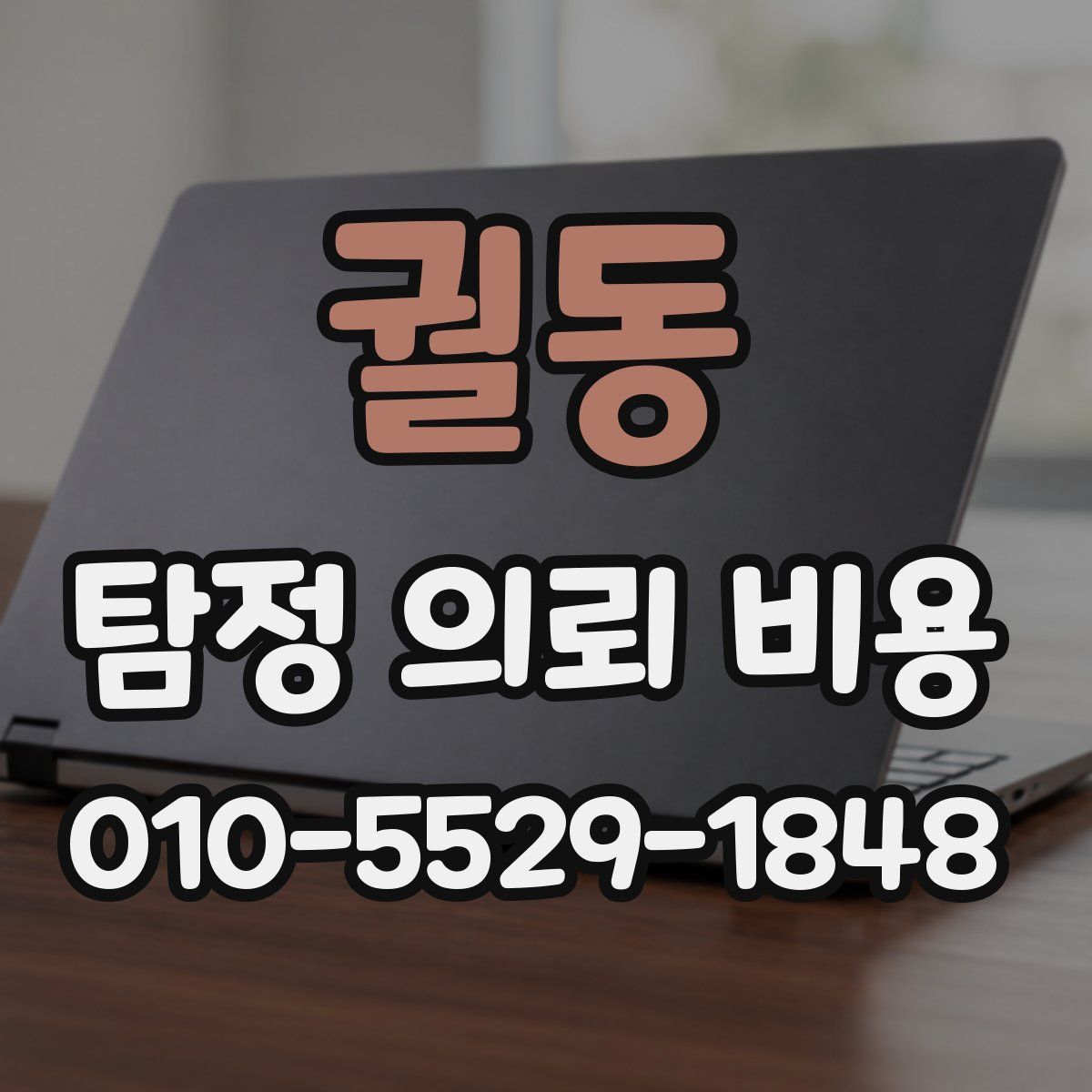 궐동 탐정 의뢰 비용