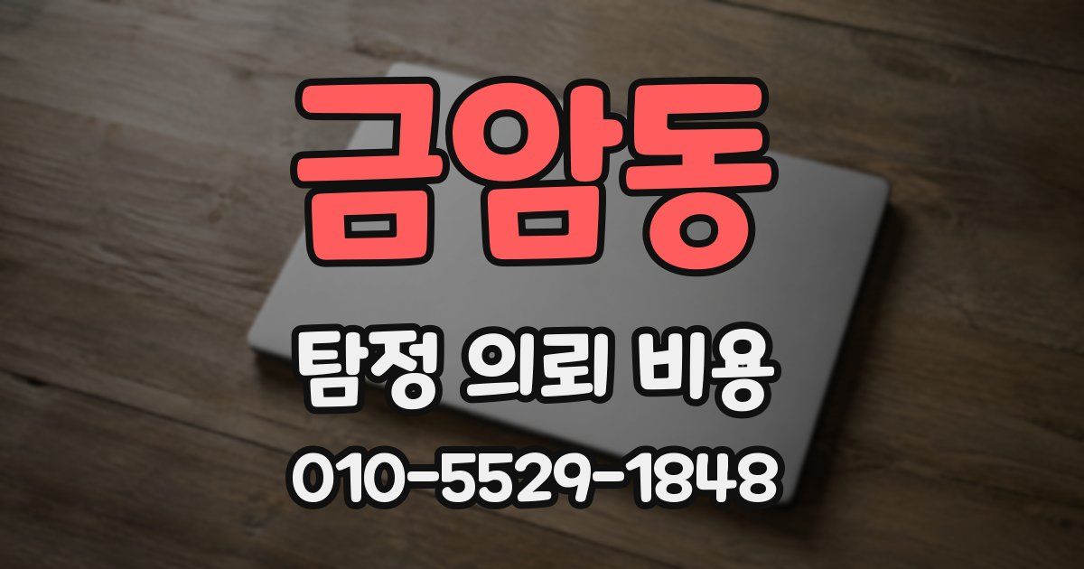 금암동 탐정 의뢰 비용