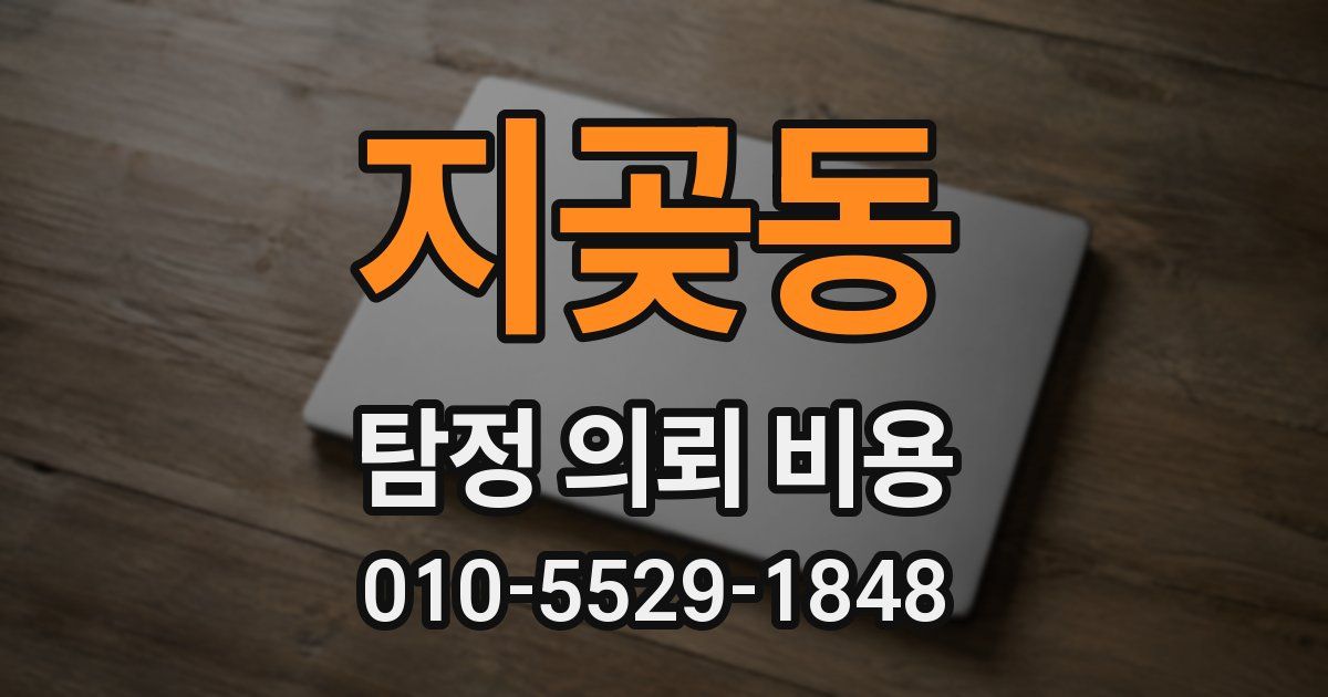지곶동 탐정 의뢰 비용