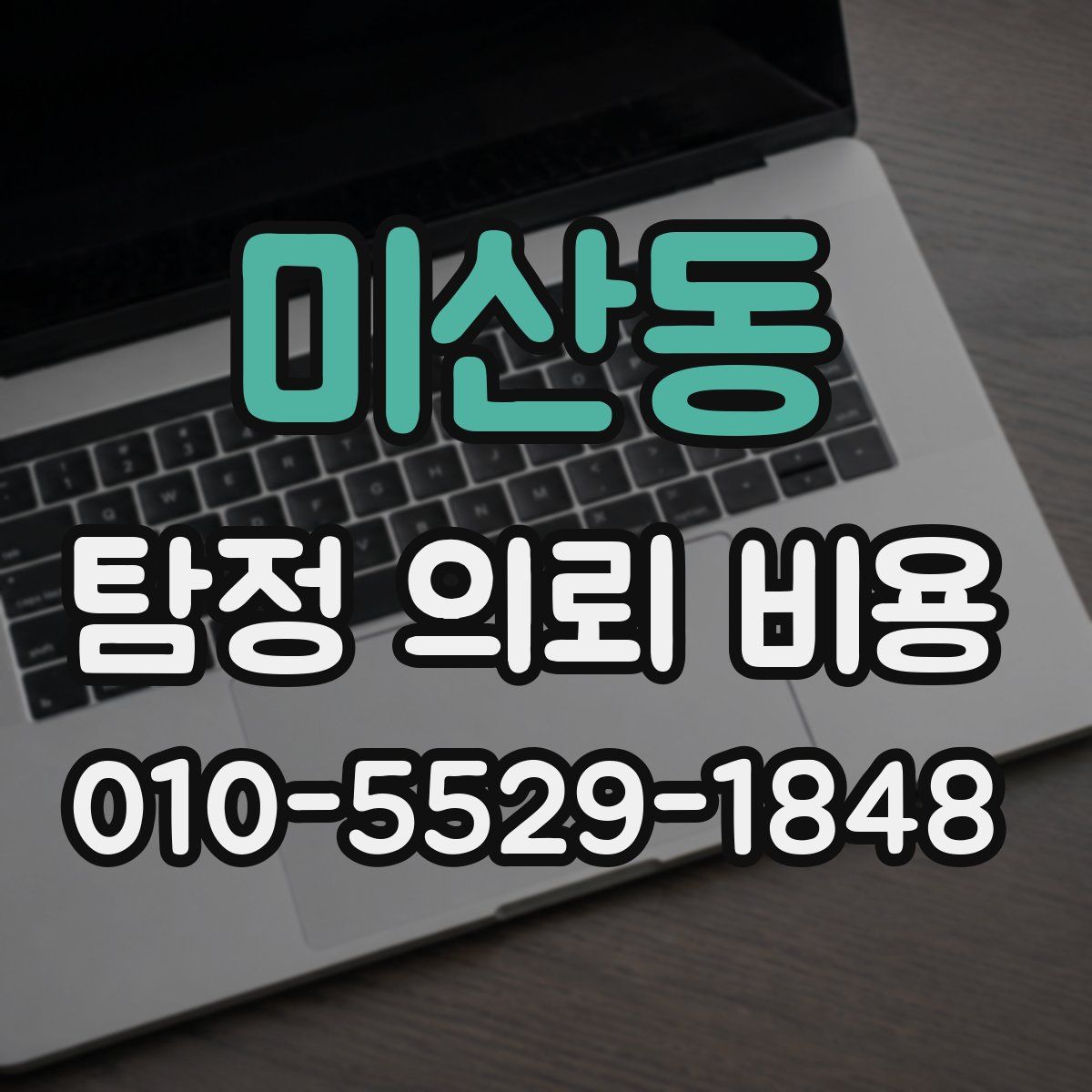 미산동 탐정 의뢰 비용