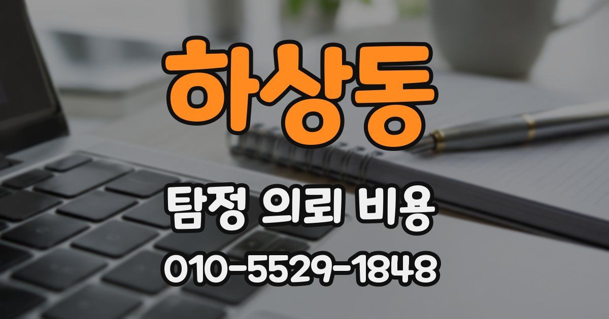 하상동 탐정 의뢰 비용