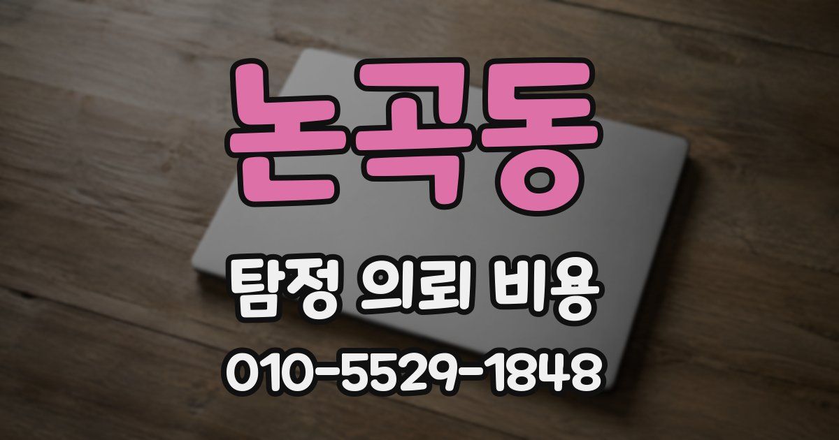 논곡동 탐정 의뢰 비용