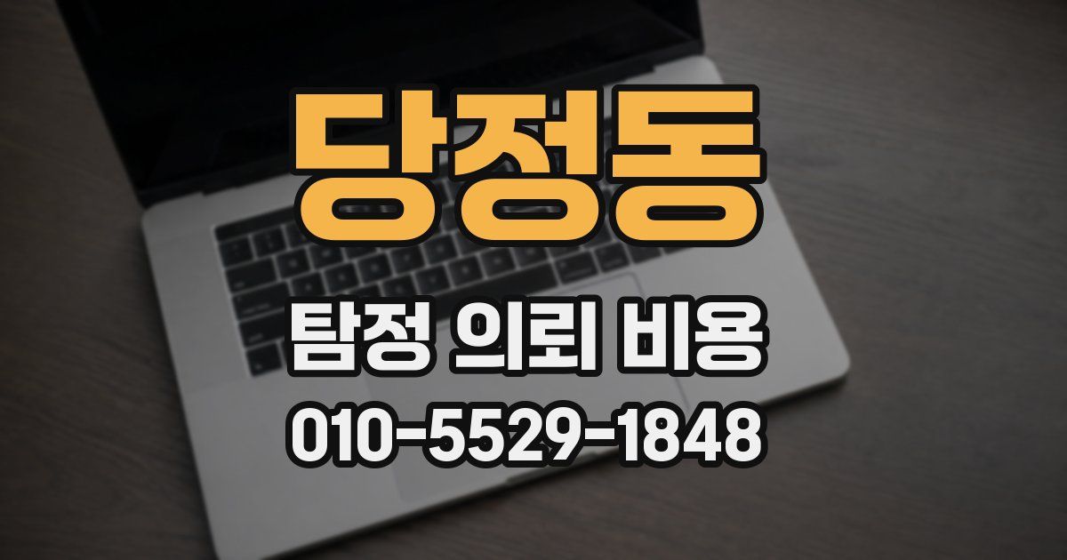 당정동 탐정 의뢰 비용