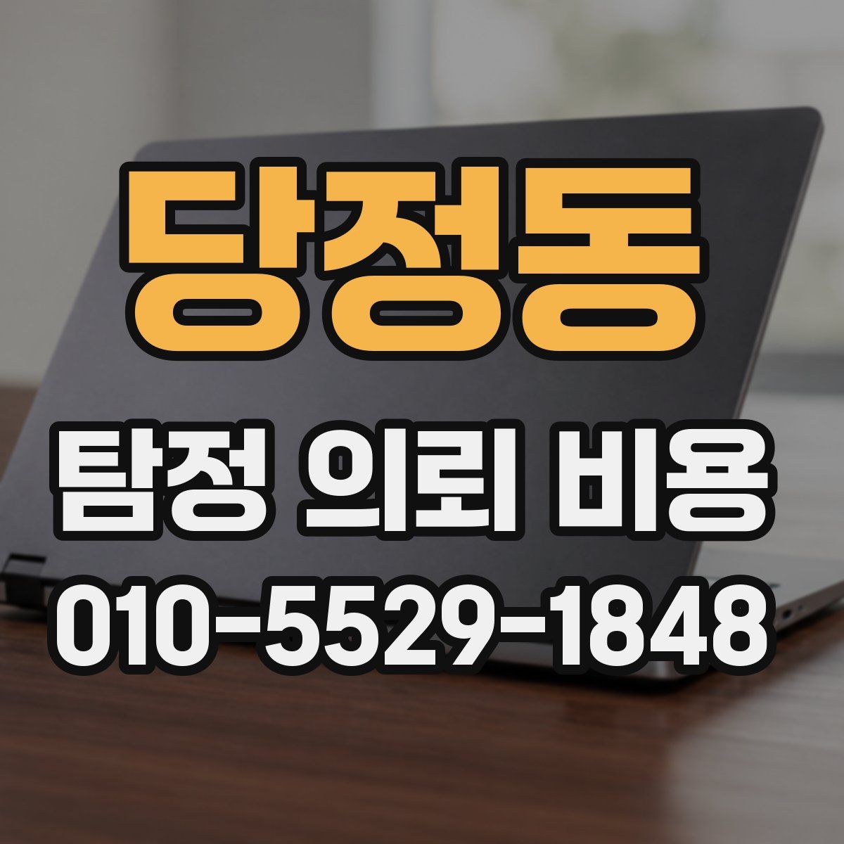 당정동 탐정 의뢰 비용
