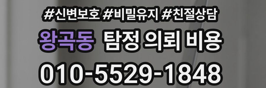 왕곡동 탐정 의뢰 비용