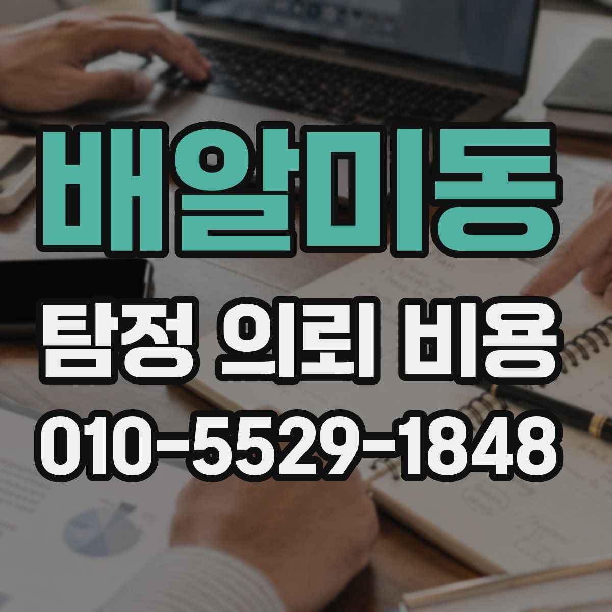 배알미동 탐정 의뢰 비용
