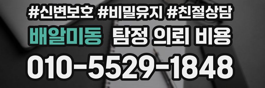 배알미동 탐정 의뢰 비용