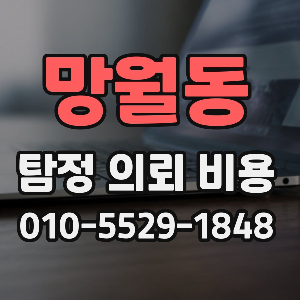 망월동 탐정 의뢰 비용
