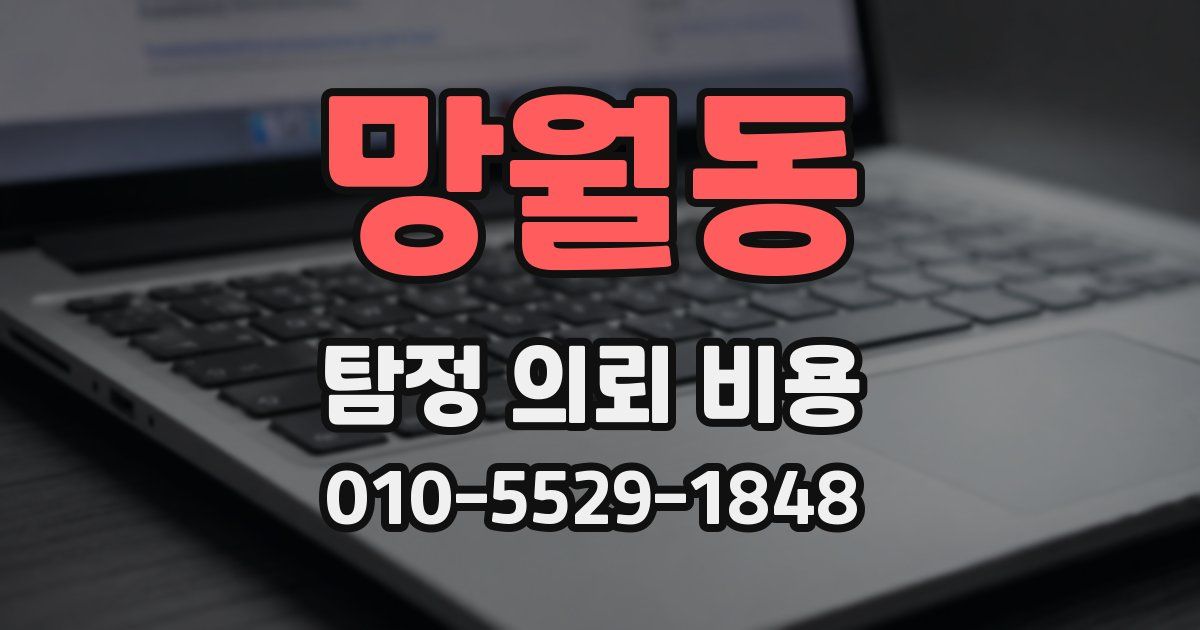 망월동 탐정 의뢰 비용
