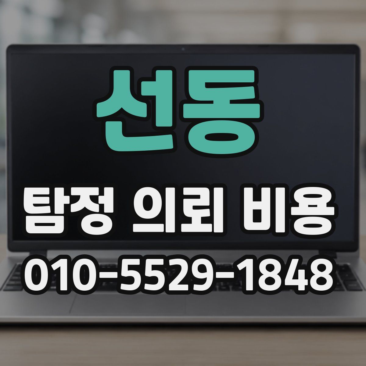 선동 탐정 의뢰 비용