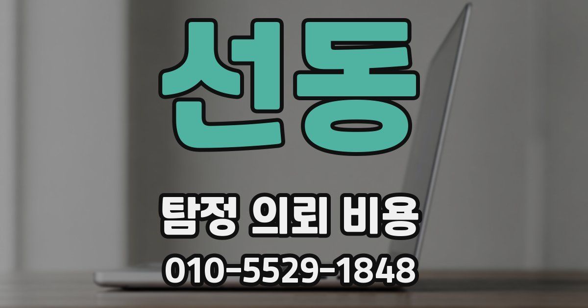 선동 탐정 의뢰 비용