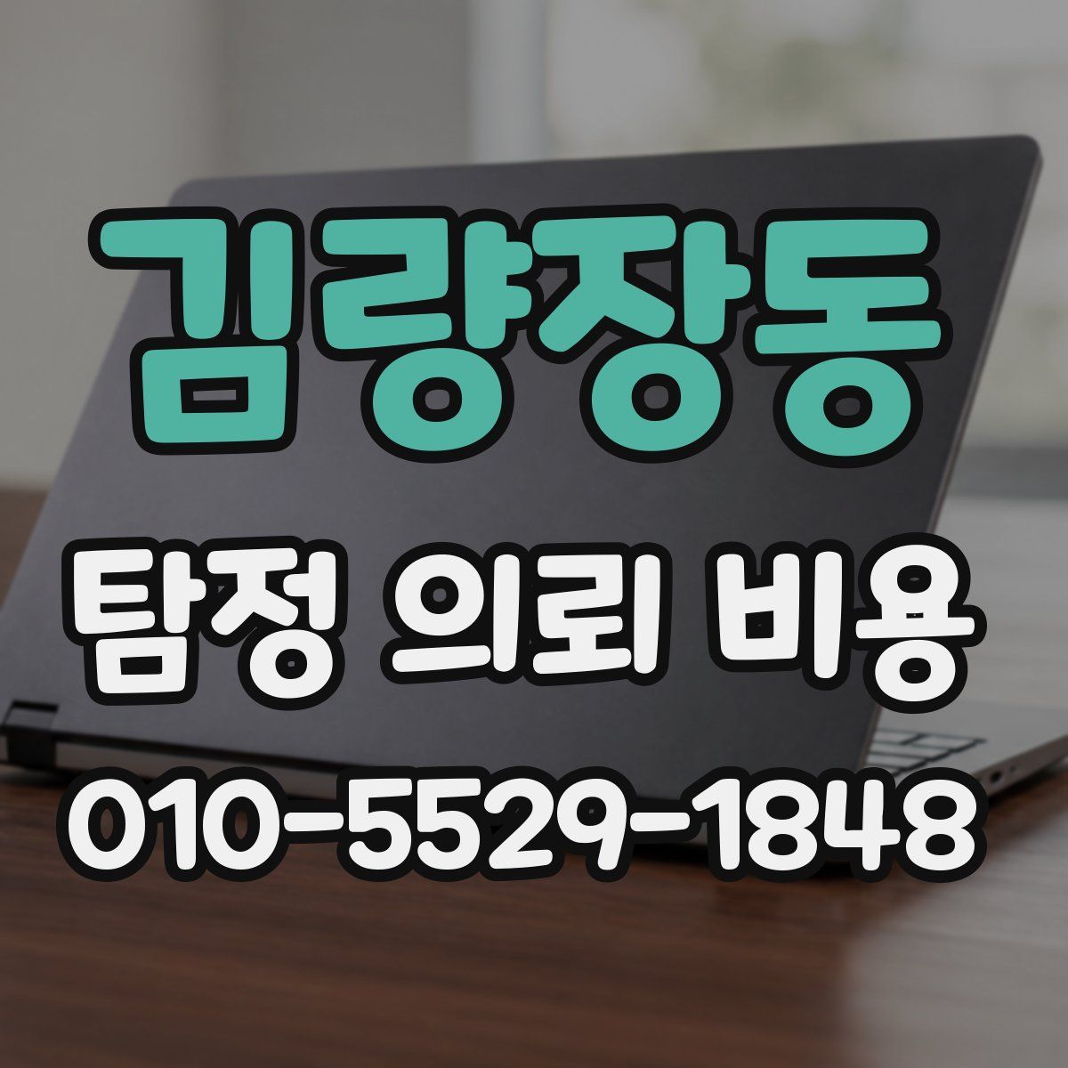 김량장동 탐정 의뢰 비용