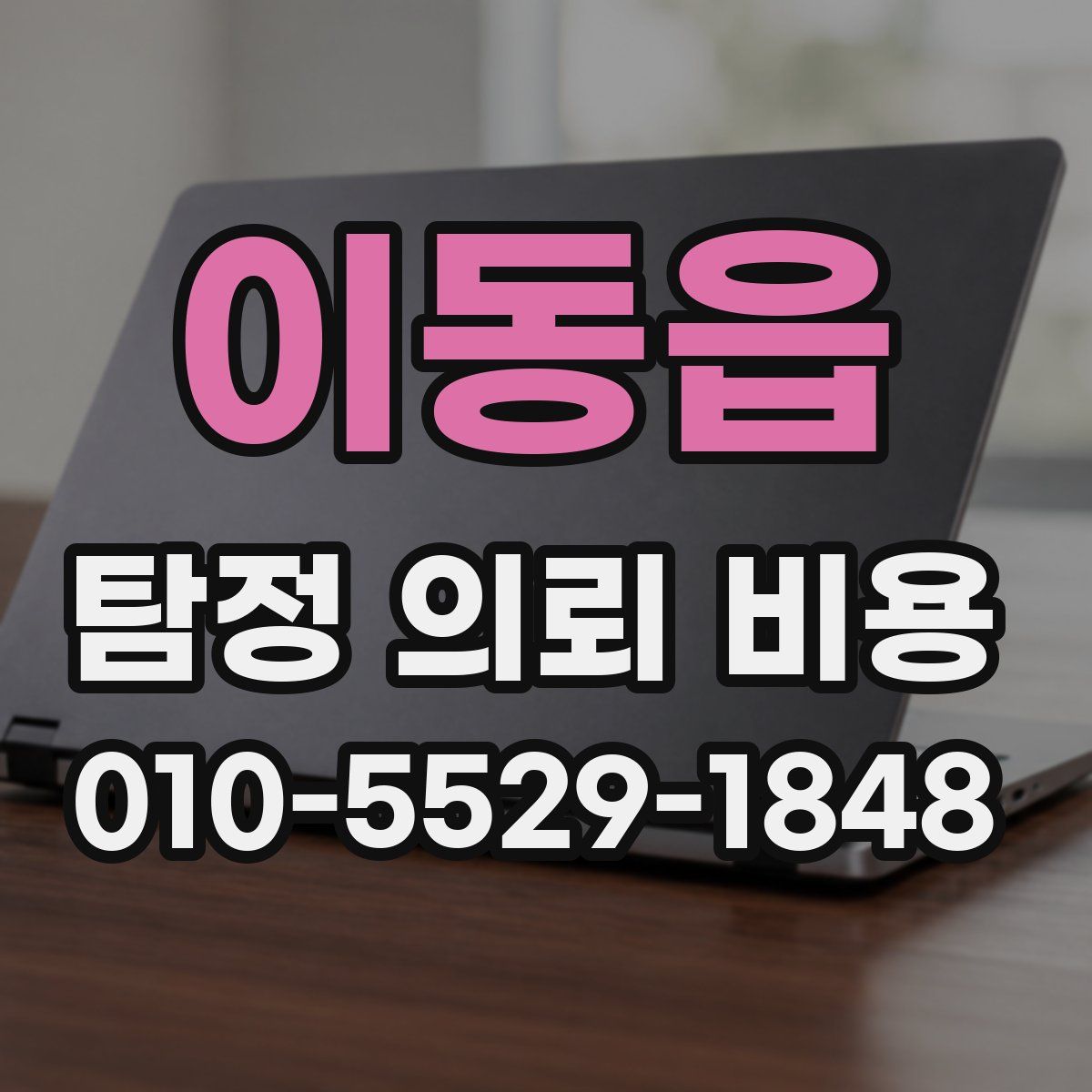 이동읍 탐정 의뢰 비용